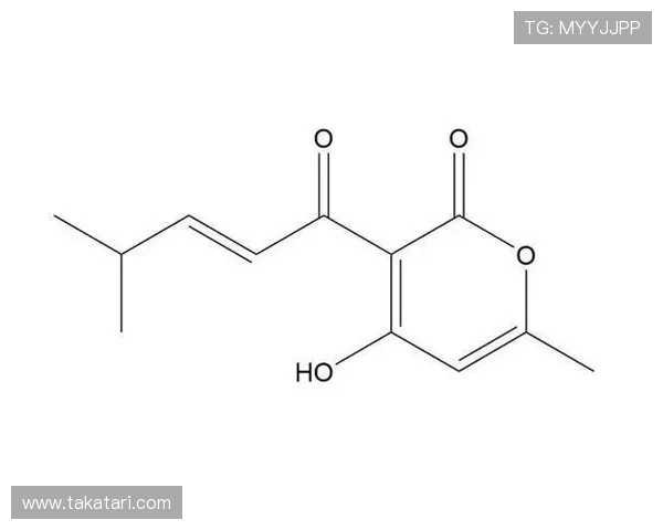 在k8凯发官方入口畅玩，体验最公平公正的在线博彩环境
